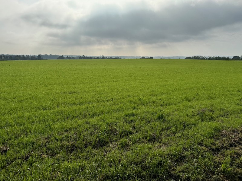 Terreno agricolo corpo unico di circa 17 ha 