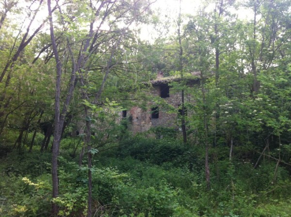 Rustico ex mulino in sassi vic.ze ruscello con terreno 3 ettari