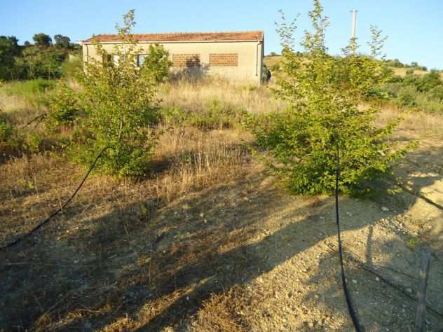 11 ettari di terreno con rustico a Bisignano,Calabria