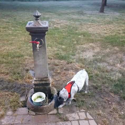 11anni kg10 A BREVE DEVE USCIRE DI CASA URGENTE MILANO