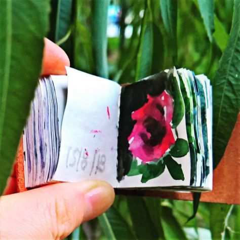 150 disegni dipinti fiori piante Toscana album copertina vera pelle autenticato