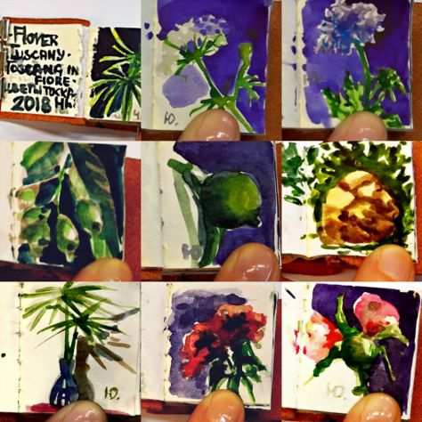 150 disegni dipinti fiori piante Toscana album copertina vera pelle autenticato