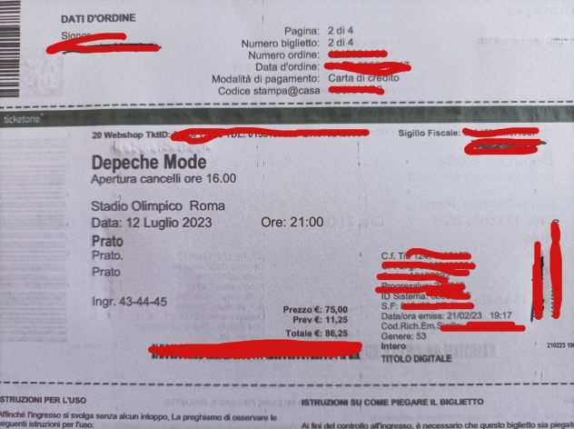 2 biglietti concerto Depeche Mode per Roma  Autobus