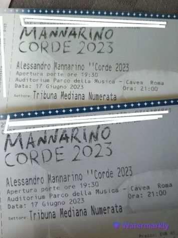 2 Biglietti per il concerto di MANNARINO, Roma 17062023 Parco della Musica