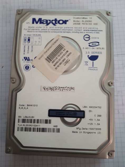 2 Maxtor 250 GB ATA 133 Da testare