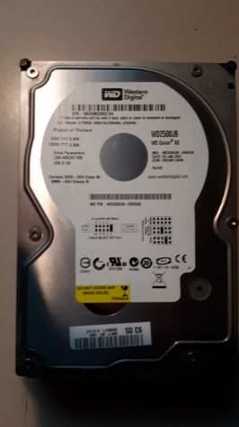 2 x Western Digital 250GB PATA WD2500 7200RPM