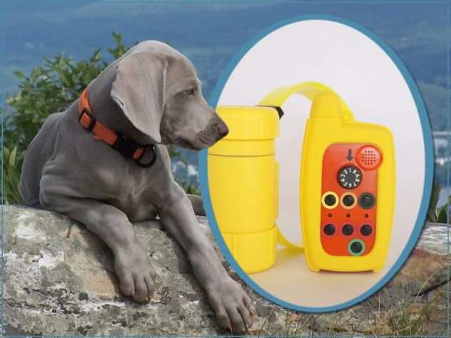 2023 COLLARE BEEPER PER CANI DA CACCIA REMOTO IMPERMEABILE