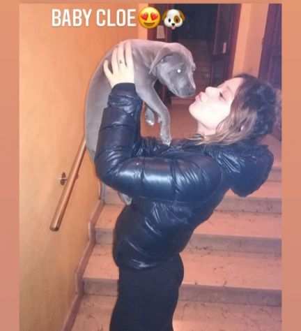 21enne di Milano dog-sitter