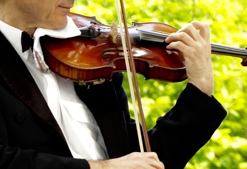 Violinista Novi Ligure
