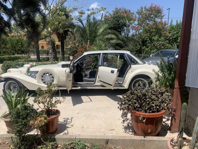 MATRIMONIO ELEGANTE IN JAGUAR