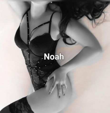 3208332305 Noah