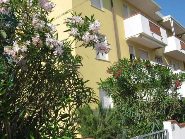 -544- 15-76 Trilocale VISTA MARE a Lido Scacchi -544-