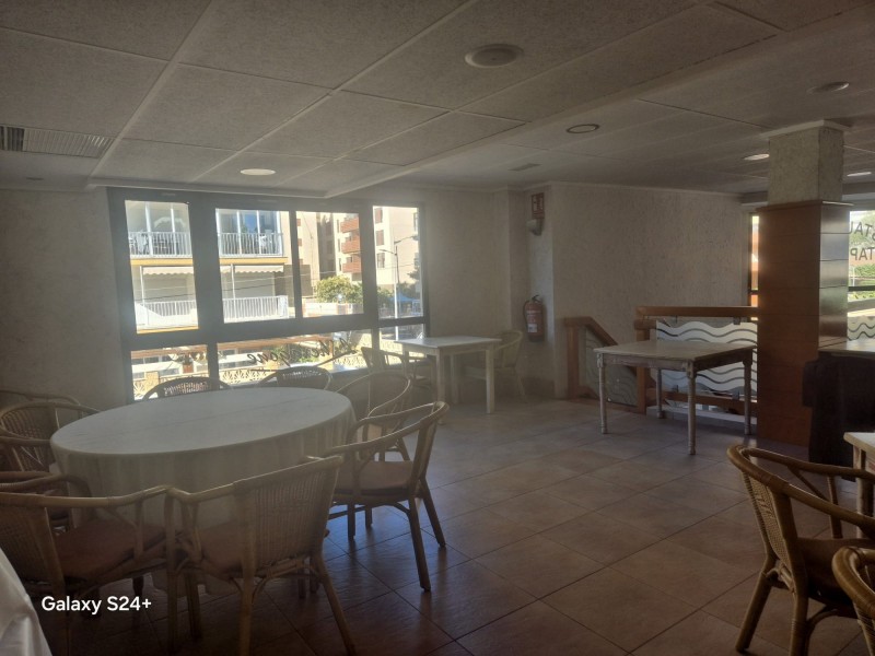 BELLISSIMO RISTOPIZZA VICINO AL MARE