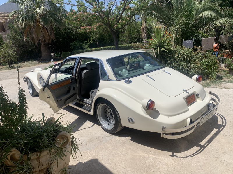 MATRIMONIO ELEGANTE IN JAGUAR