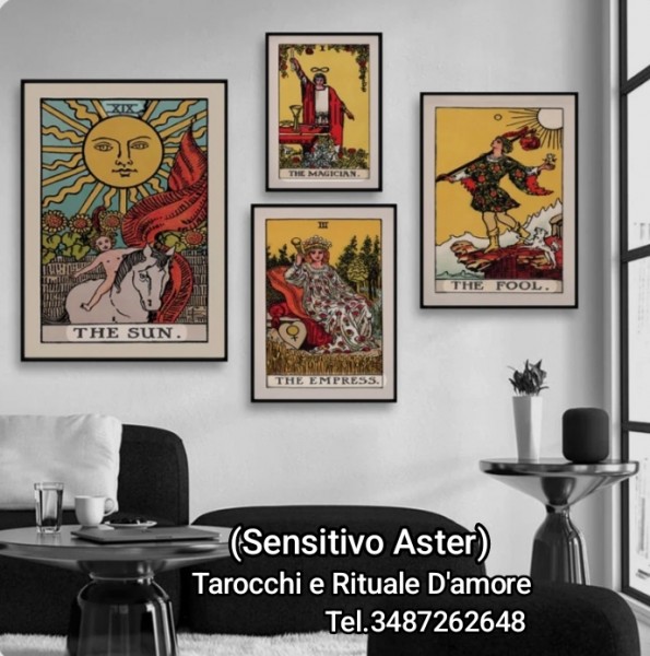 Aster Cartomante sensitivo.3487262648