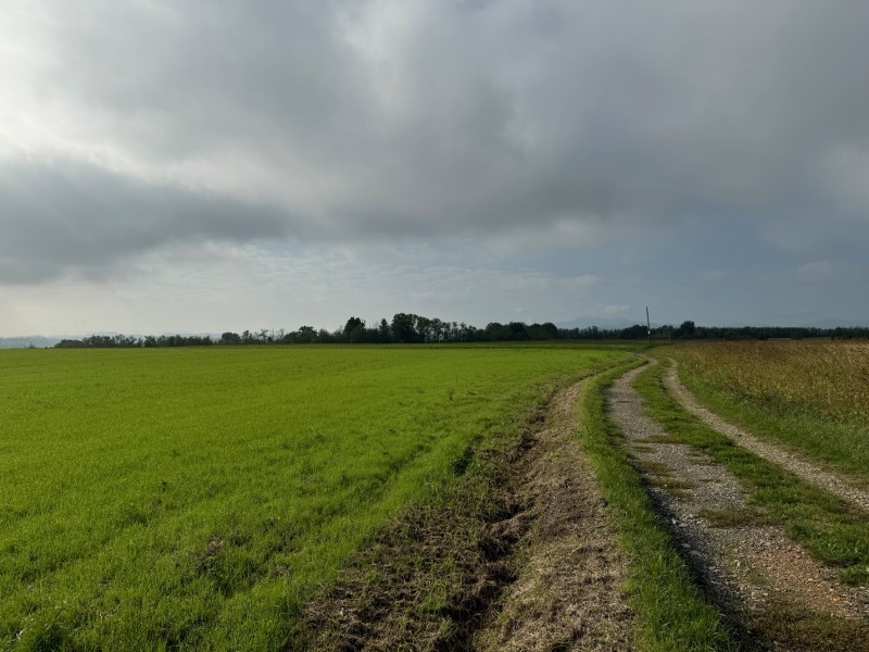 Terreno agricolo corpo unico di circa 17 ha 