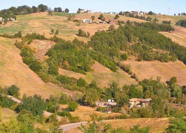 A148723 - Terreni agricoli in via Per Polinago a Pavullo(MO)