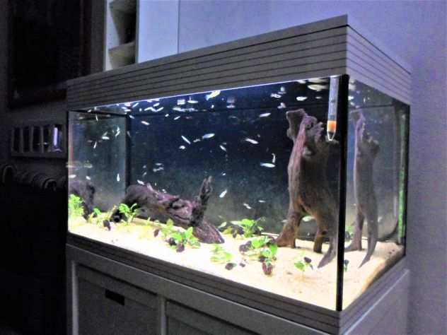 Acquario Askoll Pure XL (Led) - 94 lt. Bianco