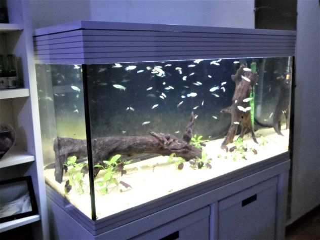 Acquario Askoll Pure XL (Led) - 94 lt. Bianco