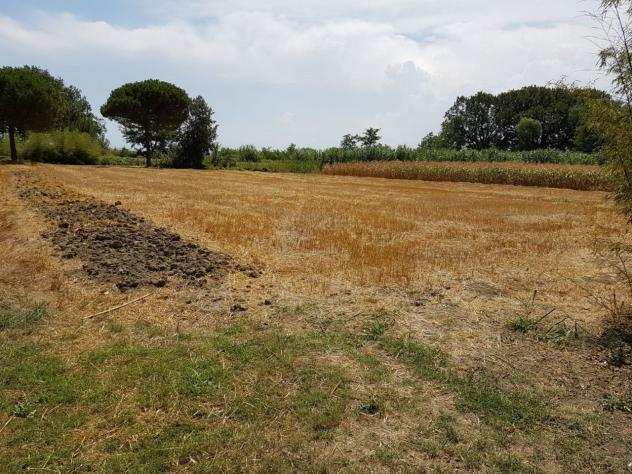 Agricolo in vendita a Bellaria-Igea Marina