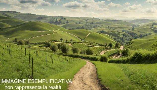 Agricolo in vendita a Castelnuovo Magra