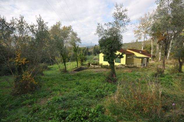 Agricolo in vendita a Castelnuovo Magra