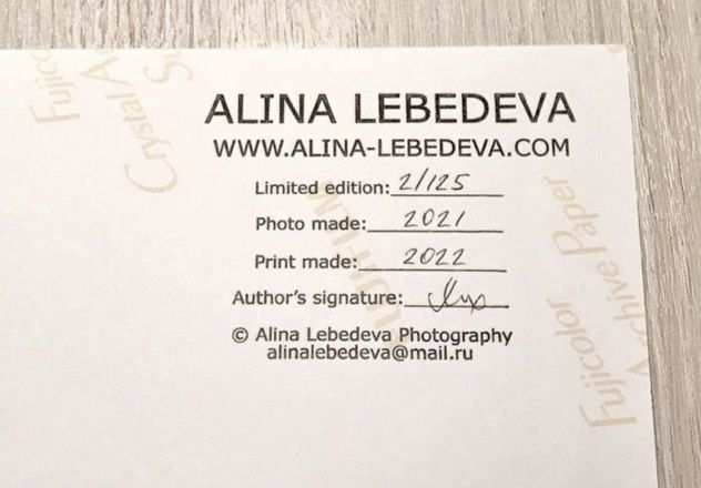 Alina Lebedeva stampa digitale 30.5x45.5 2021 2 di 125 untitled