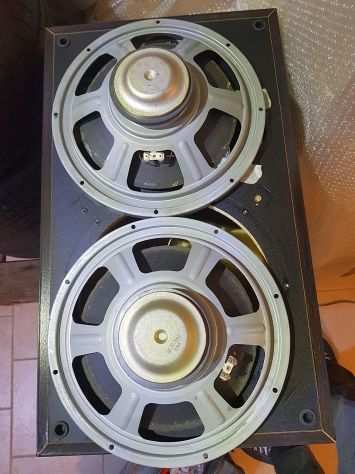 Altoparlanti woofer Pioneer 30cm 12quot da 38Hz da riconare