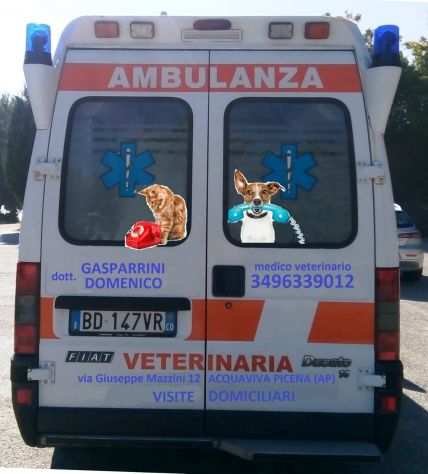Ambulanza veterinaria