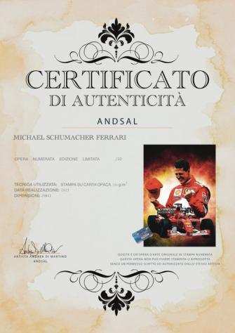 ANDSAL - Michael Schumacher Limited Edition 310
