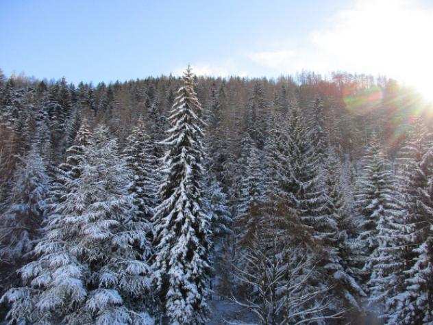 Appartamento di 75 msup2 con 3 locali e box auto in vendita a Bardonecchia