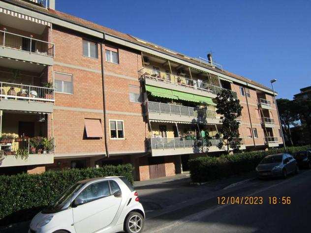 Appartamento - Grosseto . Rif. 31632