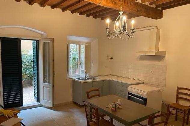 Appartamento in affitto a AGNANO - San Giuliano Terme 50 mq Rif 1231553