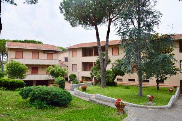 Appartamento in affitto a CALETTA - Rosignano Marittimo 50 mq Rif 700374