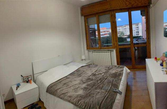 Appartamento in affitto a Pisa 45 mq Rif 1253677