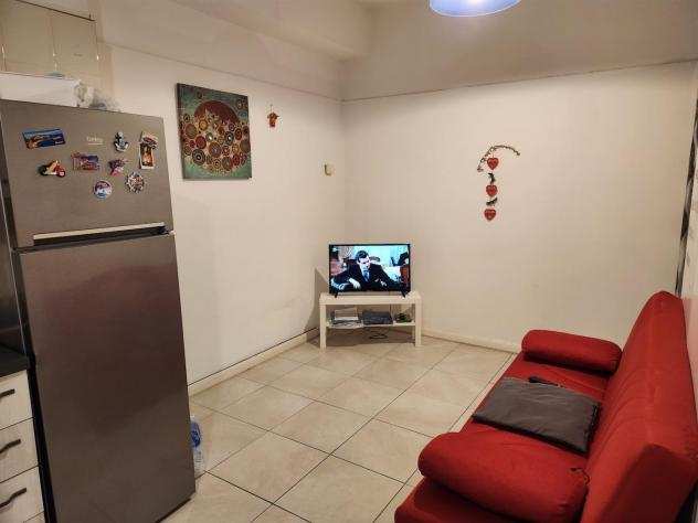 Appartamento in affitto a PONTE A EGOLA - San Miniato 35 mq Rif 1215321