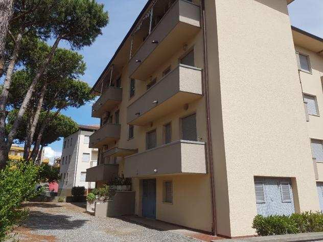 Appartamento in affitto a Rosignano Marittimo 40 mq Rif 543630