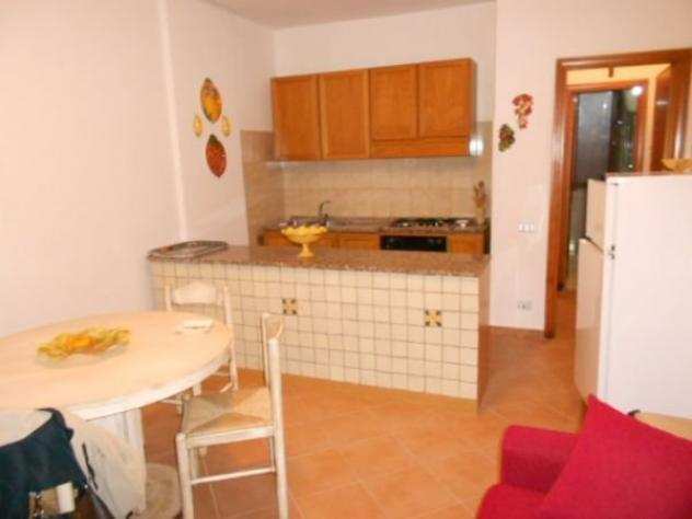 Appartamento in affitto a VADA - Rosignano Marittimo 45 mq Rif 473736