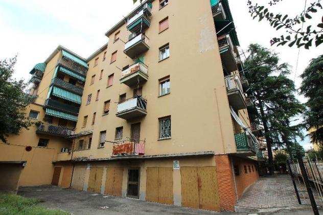 Appartamento in Affitto in zona BORGO PANIGALE