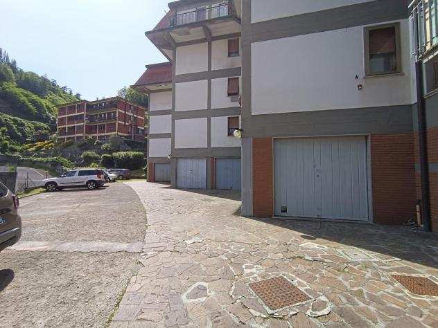 Appartamento in vendita a Castelnuovo di Garfagnana 110 mq Rif 1144078