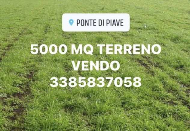 APPEZZAMENTO TERRENO DI 5000 MQ. OTTIMA POSIZIONE