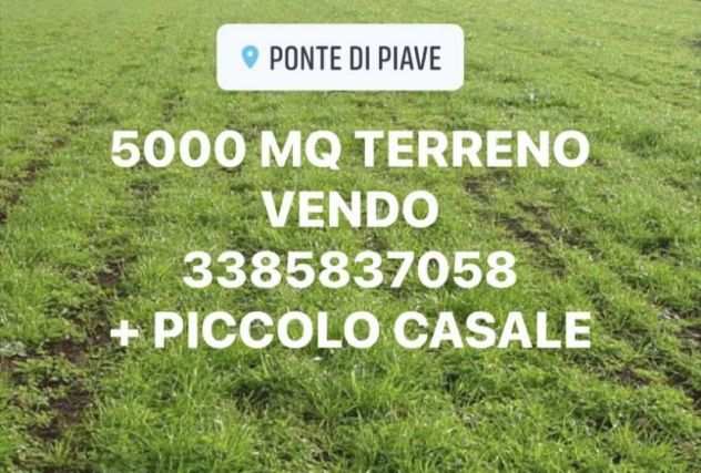 APPEZZAMENTO TERRENO DI 5000 MQ. OTTIMA POSIZIONE