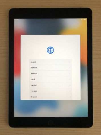 Apple iPad Air 2 (Wi-Fi  Cellular) Space Gray 64 GB usato