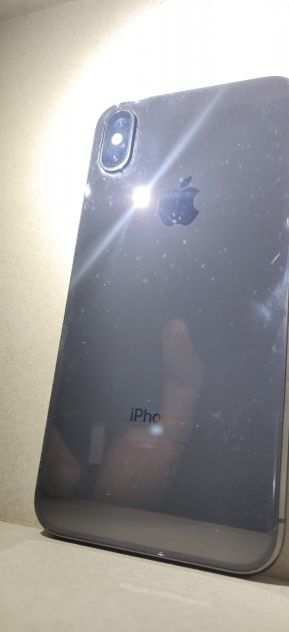 Apple iPhone X - 256GB - Grigio Siderale (Sbloccato) problema schermo scollato.