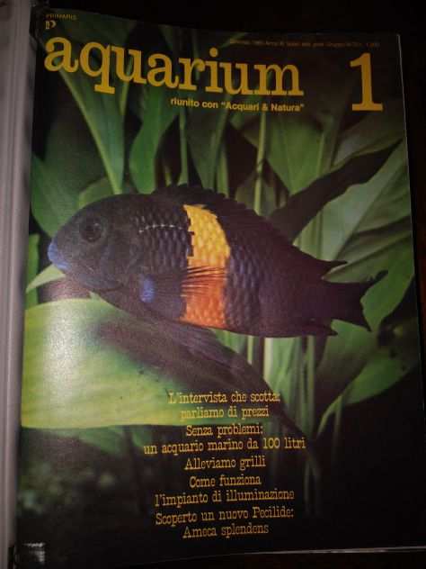 Aquarium raccolta anni 1980 e 1981