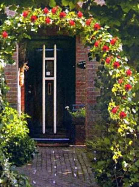 Arco per rose e piante rampicanti da giardino NUOVO 15 Euro