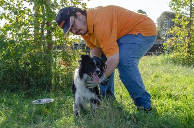 ARGO, 8 ANNI, HAKI, 4 ANNI, ASPETTANO IN CANILE LA LORO FAMIGLIA PER SEMPRE