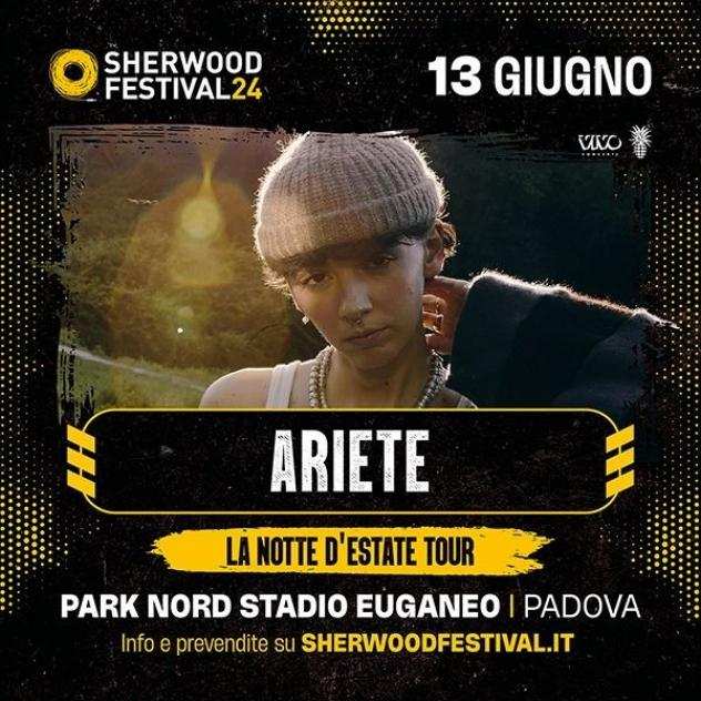 Ariete- Sherwood 2024 - il 13 giugno 2024 - partenza da NOVENTA DI PIAVE