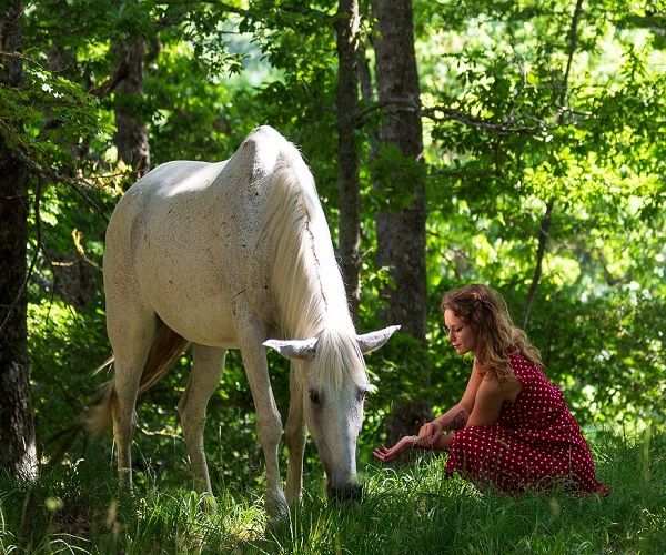 Audio-Corso Gli Animali Sono i Nostri Maestri