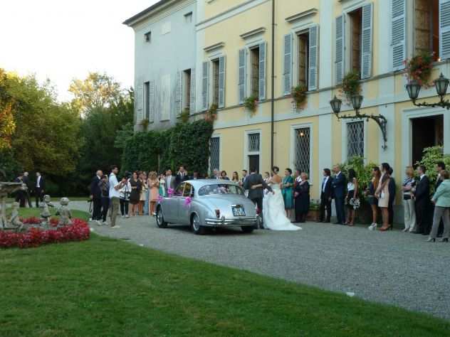 Autista per Matrimoni
